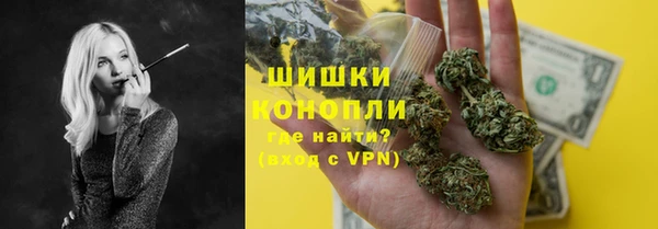 PSILOCYBIN Аркадак