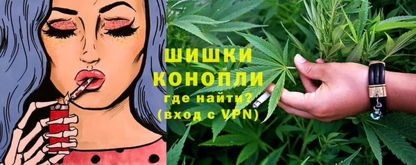 PSILOCYBIN Аркадак