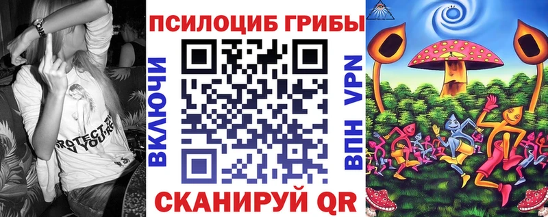 mega сайт  Бабушкин  Галлюциногенные грибы мицелий 
